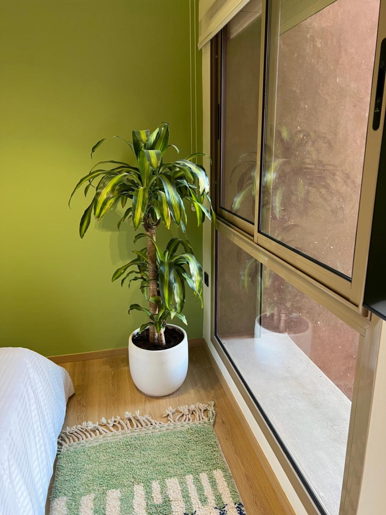 Luxe Appartement A Louer Pour Les Familles Marrakesh Extérieur photo